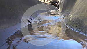 Drainage concrete ditch near road interchange