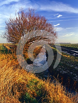 Drainage cut, Lancashire plain photo