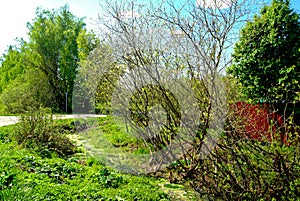 The drainage ditch along the highway in spring