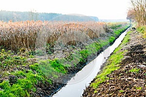 Drainage ditch in autumn scenery