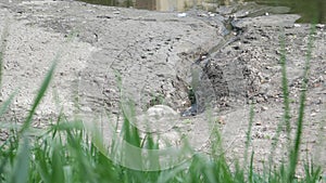 Drainage pipe with water flowing into the river