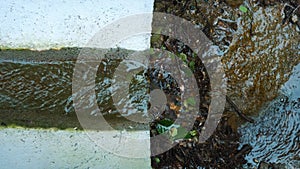 Drainage system in the forest. Water flowing through the channel. Forest and park drainage in the Alps. Drainage system