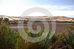 Drained lake, Libya