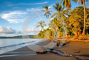 Drake Bay beach