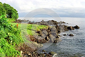 Drake Bay Coastline