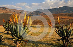 Drakensberg Mountains