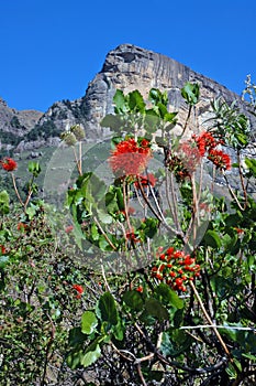 Drakensberg mountains, South Africa.