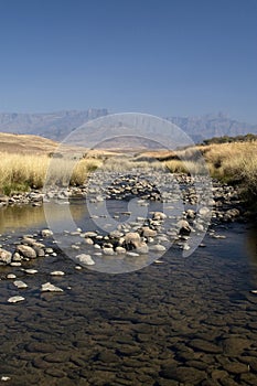 Drakensberg stream