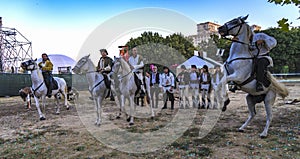 History Reenactment , Bucharest, Romania, Lupii Albi, White Wolfes