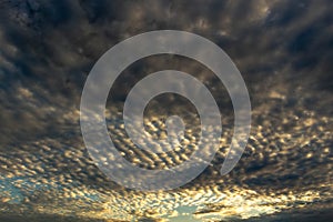 Dramatic Altocumulus Cloud Pattern at Sunset Sky Background