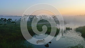 Dramatic artistic sunrise landscape with flooded wetlands, small marsh ponds, moss and bog pines