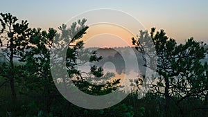 Dramatic artistic sunrise landscape with flooded wetlands, small marsh ponds, moss and bog pines