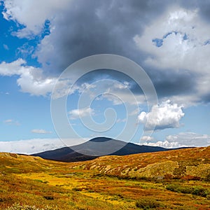 Dramatic autumn landscape with black mountain in gold sunshine. Beautiful mountain scenery with sunlit golden autumn plateau and