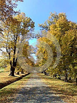 Dramatic autumn landscape stock photo