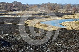 Dramatic background.Burned earth, burnt grass, ash