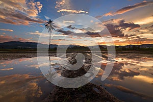 Dramatic and beautiful sunset reflection