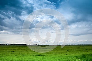 Dramatic blue sky and green meadow