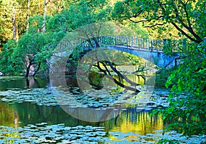 Dramatic bridge at summer park background