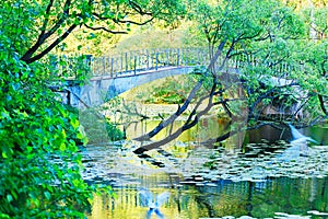 Dramatic bridge at summer park with flying birds background