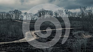 Dramatic Burned field from controlled burn