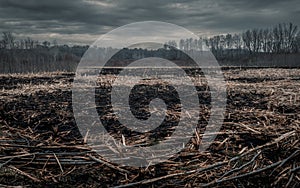 Dramatic Burned field from controlled burn