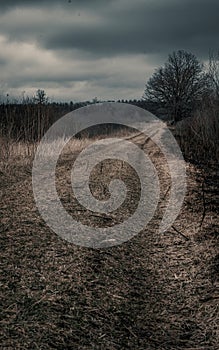 Dramatic Burned field from controlled burn