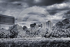 Dramatic cityscape of garden and clouds