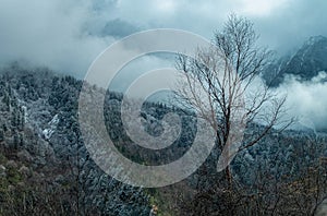 Dramatic Cloud-Covered Rocky Mountain Landscape