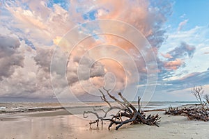 Dramatic Cloud Formations over Driftwood on Folly Beach