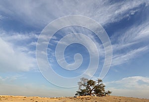 Dramatic cloud and the tree of life, Bahrain
