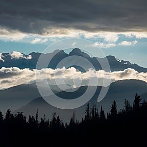 Dramatic clouds frame mountain peaks and towering trees in silhouette