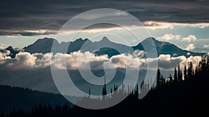 Dramatic clouds frame mountain peaks and towering trees in silhouette