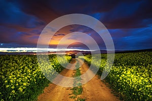 Dramatic clouds over the rapeseed field, beautiful spring night