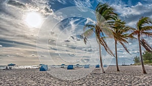 Dramatic clouds and wind blows palm trees at beach in Florida