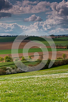 A dramatic cloudscape above the rolling hills with wild flowers of Fromberg in the Dutch Heuvelland