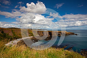 On the dramatic coast nex to Dunnottar Castle, Scotland