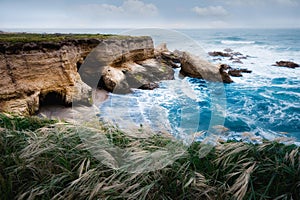 Línea costera. rocoso acantilados Pacífico Océano a doméstico plantas sobre el Playa condición 