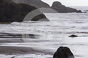 Dramatic coastline in southern Oregon