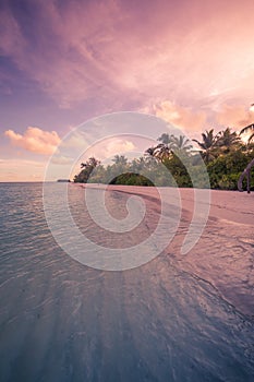 Dramatic colorful sky calm sea. Palm trees on the tropical beach, sunrise view