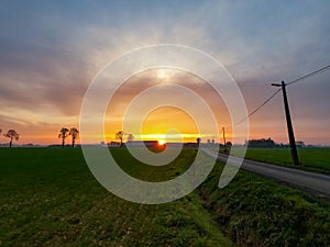 Dramatic and colorful Sunrise or sunset on a field covered with young green grass and yellow flowering dandelions in