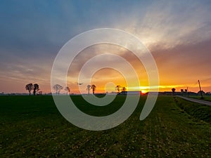 Dramatic and colorful Sunrise or sunset on a field covered with young green grass and yellow flowering dandelions in