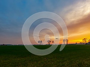 Dramatic and colorful Sunrise or sunset on a field covered with young green grass and yellow flowering dandelions in