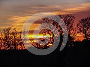 A dramatic colorful sunset behind the trees