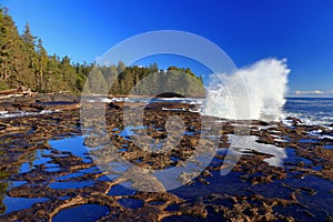 Dramatic Crashing Wave and Still Tidal Pools at Botanical Beach, Juan de Fuca Provincial Park, BC, Canada