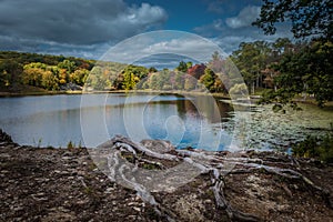 Dramatic crisp autumn sky over Tyrrel Lake at Innisfree Garden, Millbrook, New York