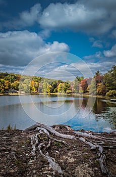 Dramatic crisp autumn sky over Tyrrel Lake at Innisfree Garden, Millbrook, New York