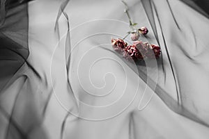 Dramatic dark red flowers on grey background. Idea for a condolence card. Top view.