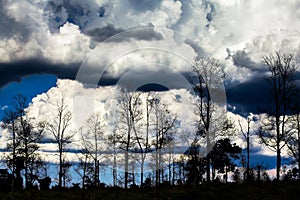Dramatic dark storm over black forest