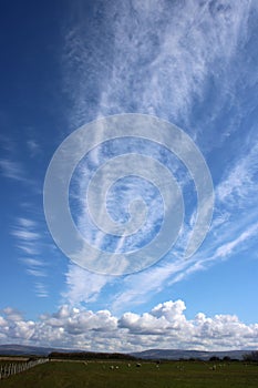 Dramatic feathery white clouds in blue sky