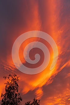 Dramatic fiery sky sunset cloudscape at dusk